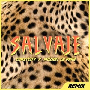 Mozart La Para Ft COASTCITY – Salvaje (Remix)