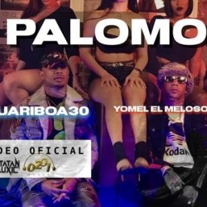 Yomel El Meloso Ft Guariboa – Palomo