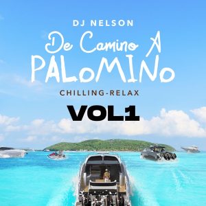 Dj Nelson – De Camino A Palomino, Vol. 1, (2022)